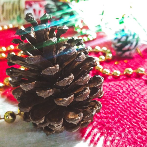 IMG_20211127_190521_428